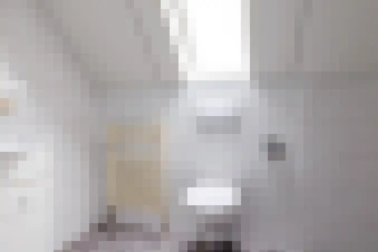Schapendijk 8 Den Ham thumbnail 28