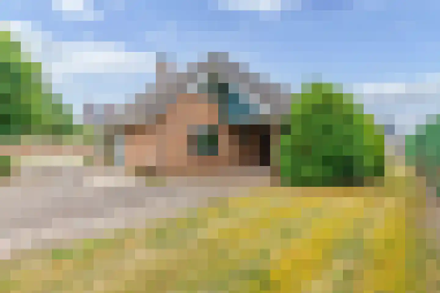 Schapendijk 8 Den Ham thumbnail 33