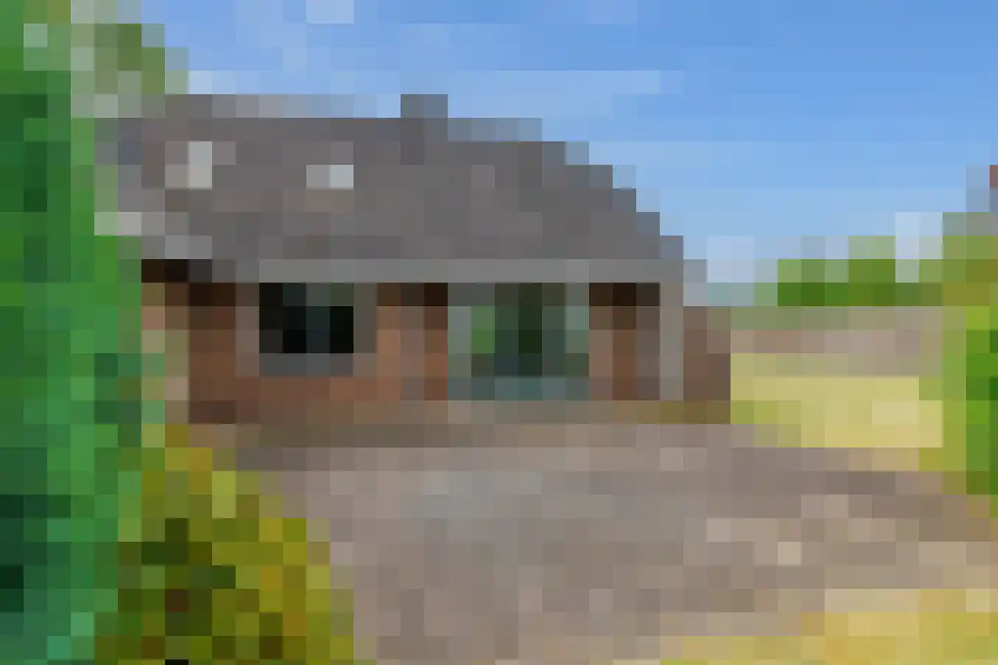 Schapendijk 8 Den Ham thumbnail 35