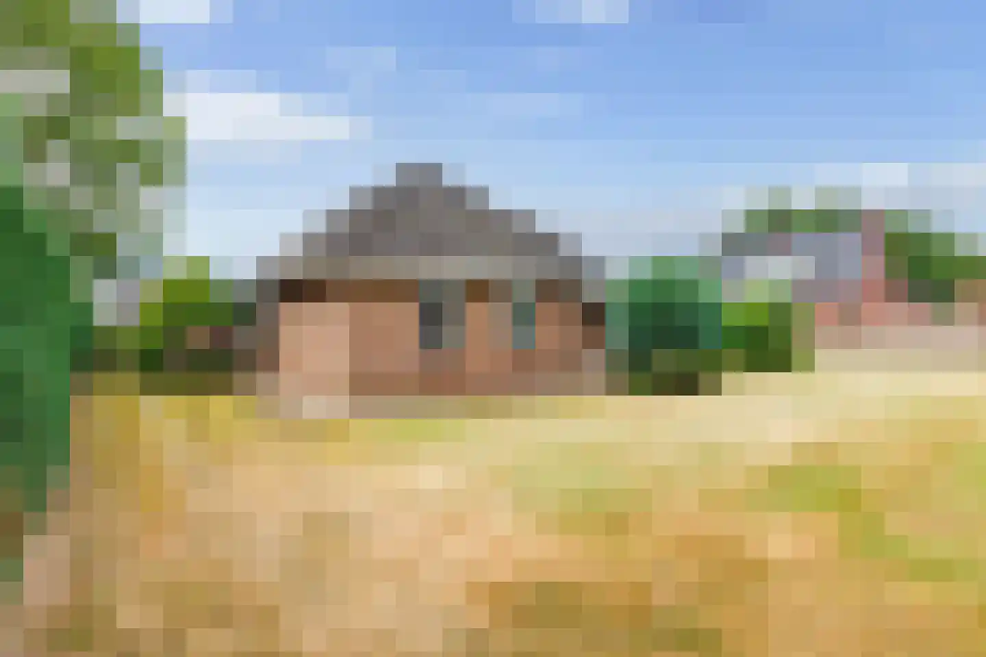 Schapendijk 8 Den Ham thumbnail 36