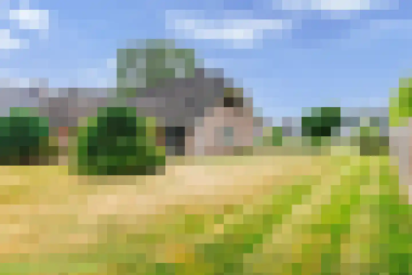 Schapendijk 8 Den Ham thumbnail 37