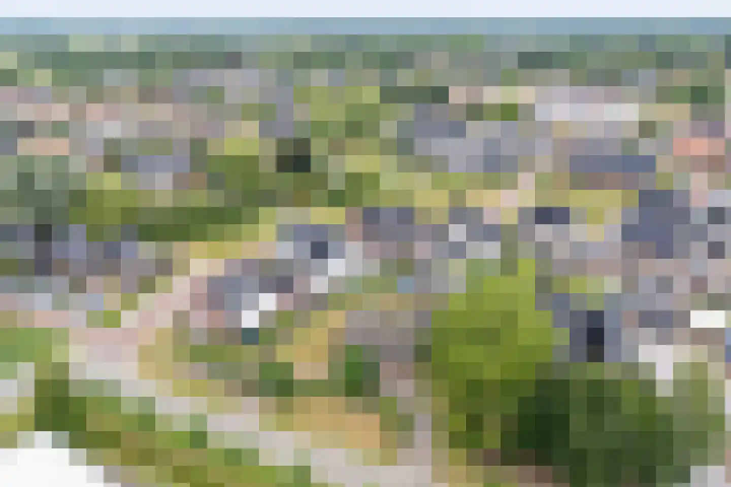 Schapendijk 8 Den Ham thumbnail 5