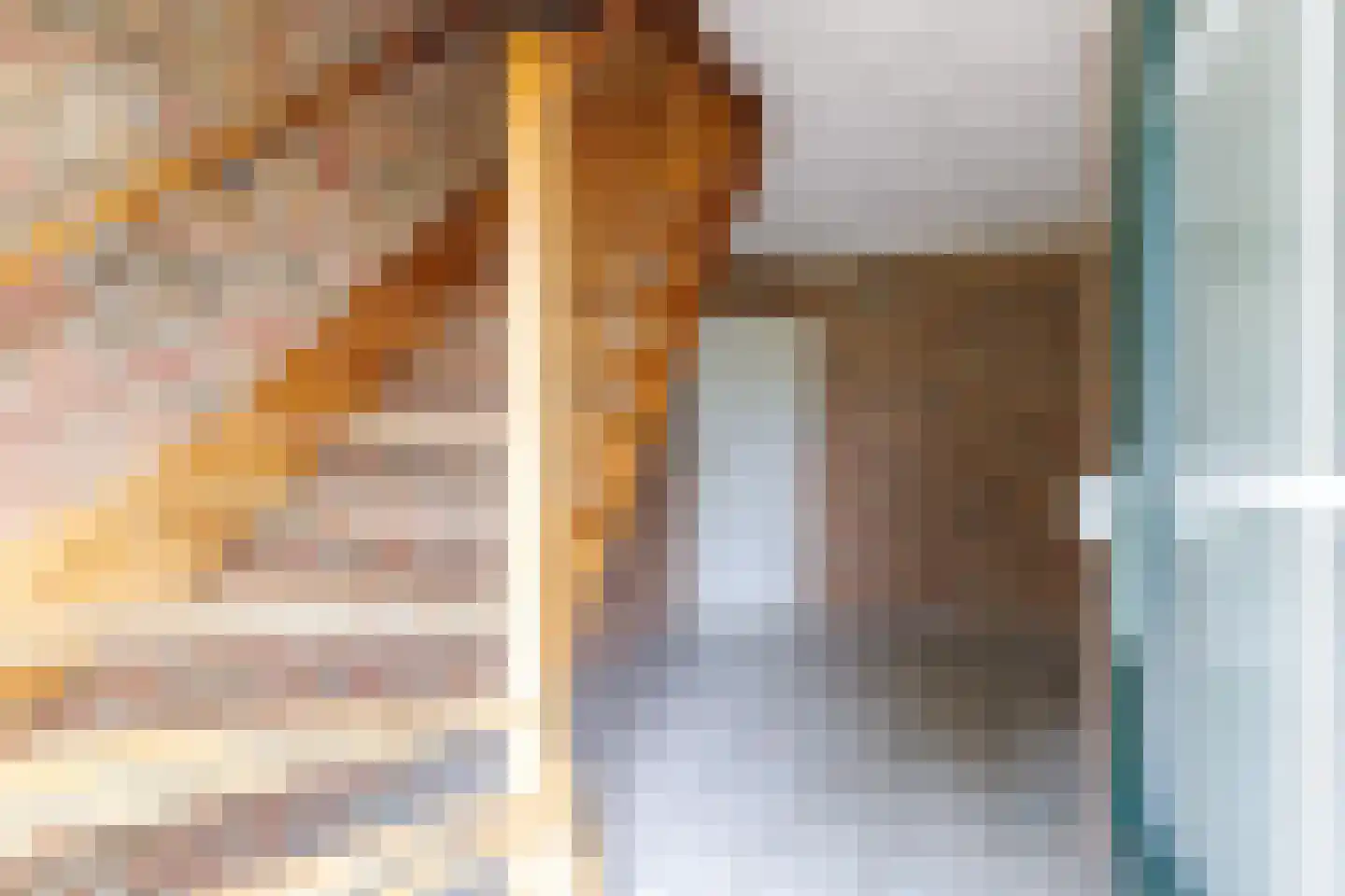 Schapendijk 8 Den Ham thumbnail 6