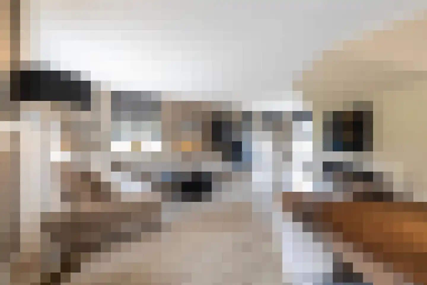 Schapendijkje 10 Leeuwarden thumbnail 11