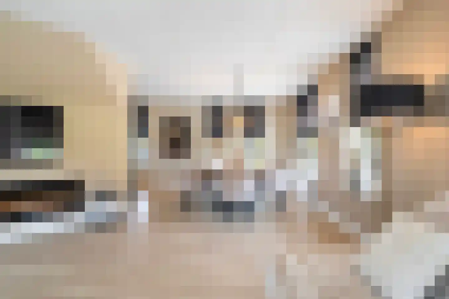 Schapendijkje 10 Leeuwarden thumbnail 12