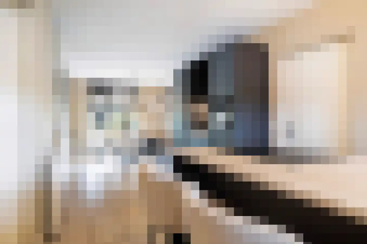 Schapendijkje 10 Leeuwarden thumbnail 17
