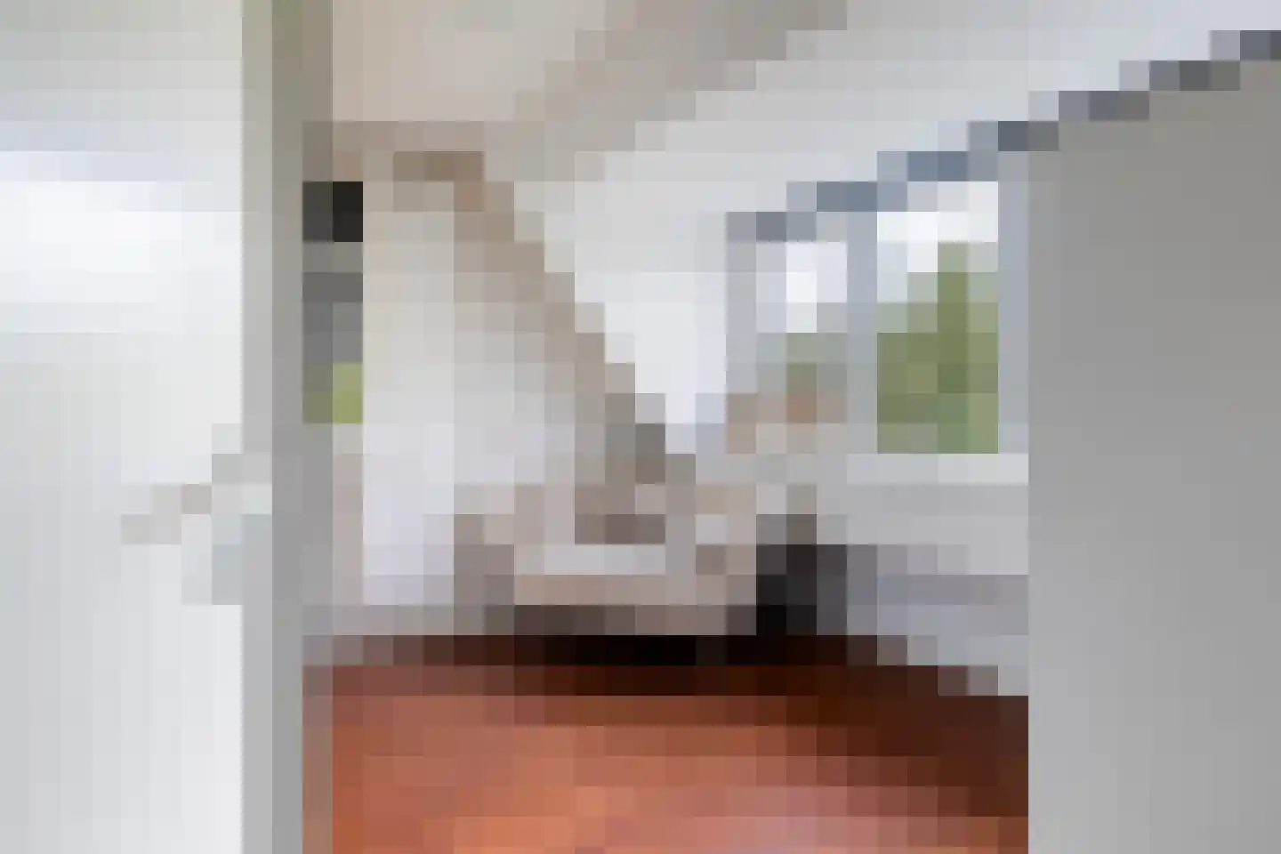 Schapendijkje 10 Leeuwarden thumbnail 23