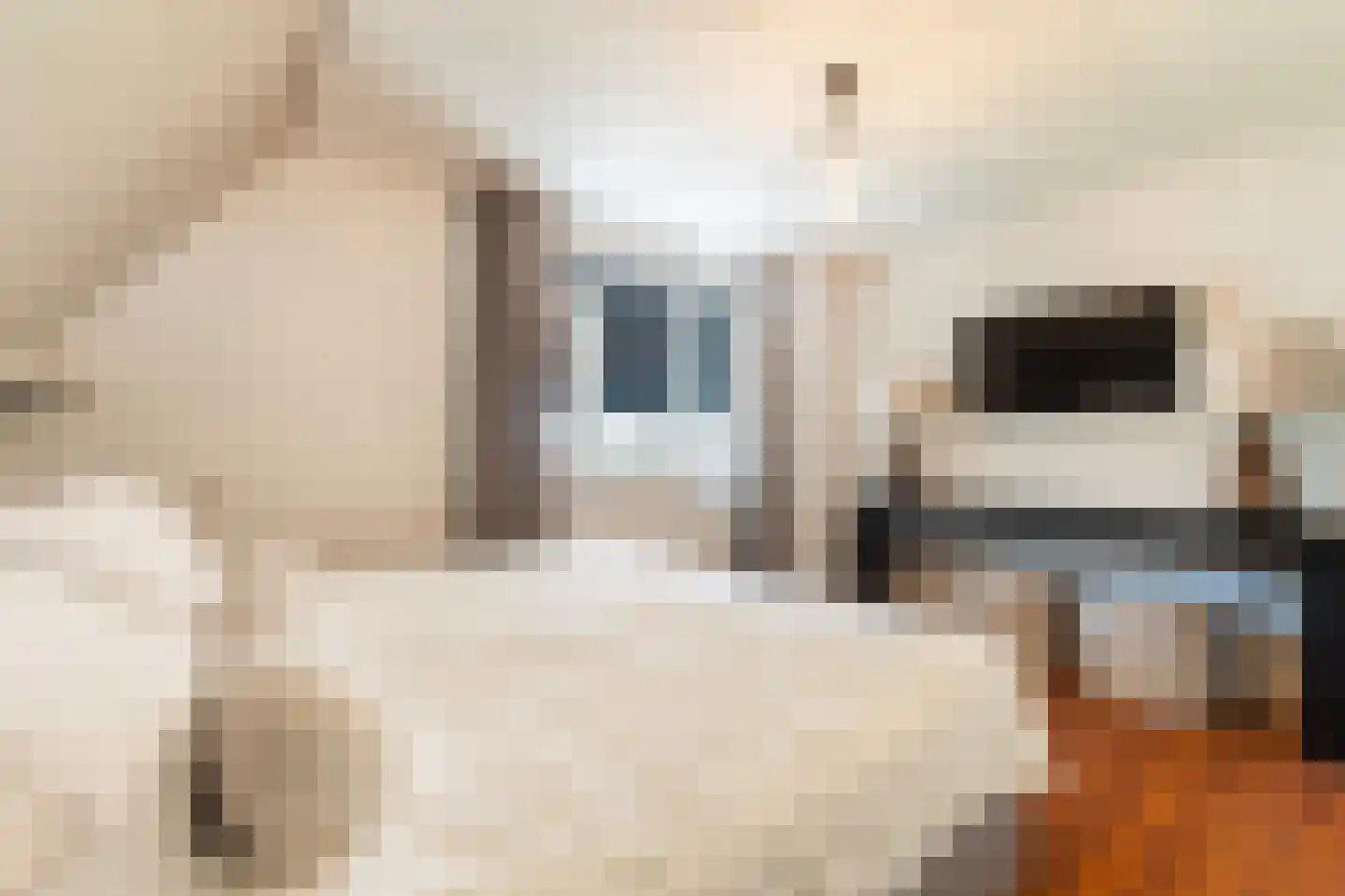 Schapendijkje 10 Leeuwarden thumbnail 24