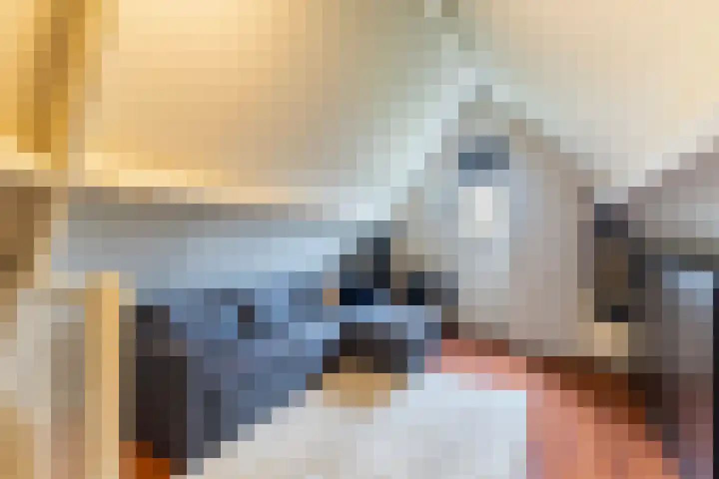 Schapendijkje 10 Leeuwarden thumbnail 29