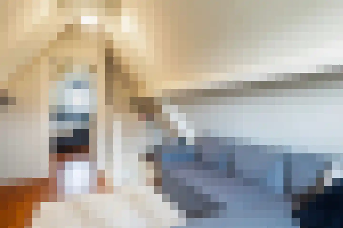 Schapendijkje 10 Leeuwarden thumbnail 31
