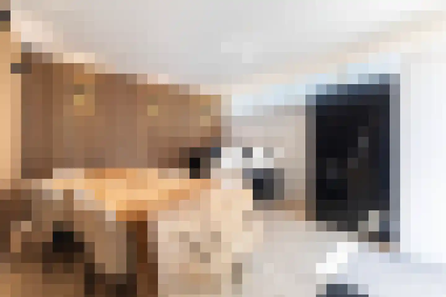 Schapendijkje 10 Leeuwarden thumbnail 35