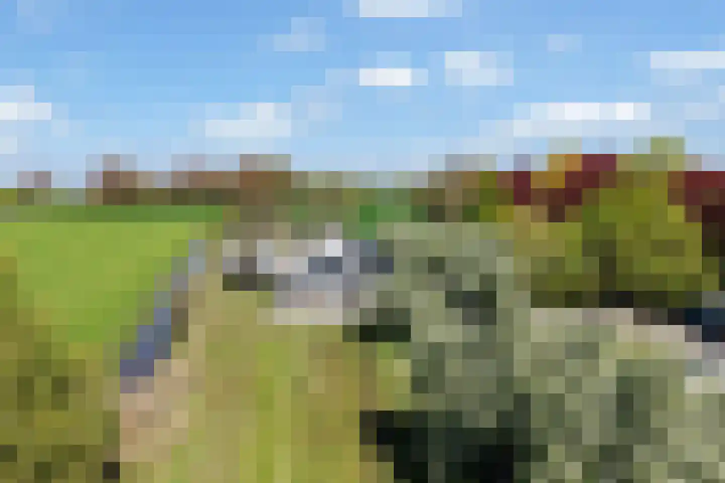 Schapendijkje 10 Leeuwarden thumbnail 39