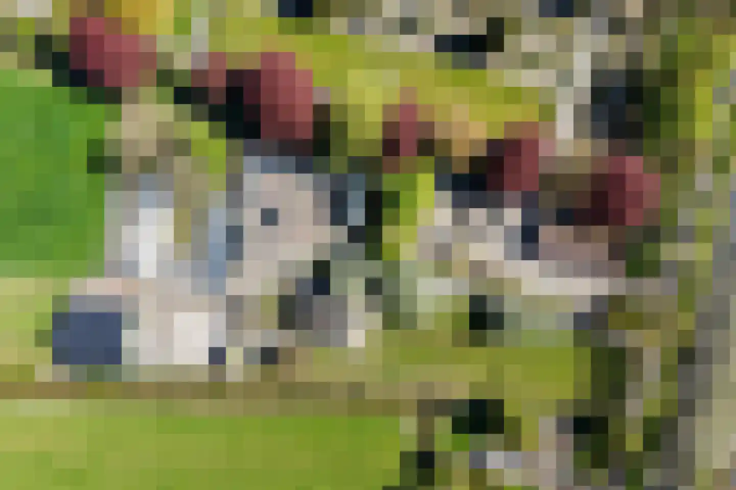 Schapendijkje 10 Leeuwarden thumbnail 40