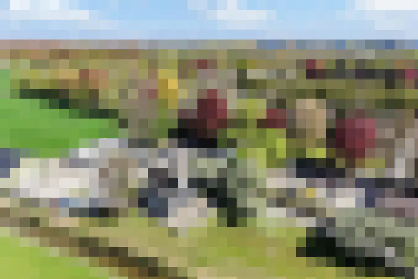 Schapendijkje 10 Leeuwarden thumbnail 41