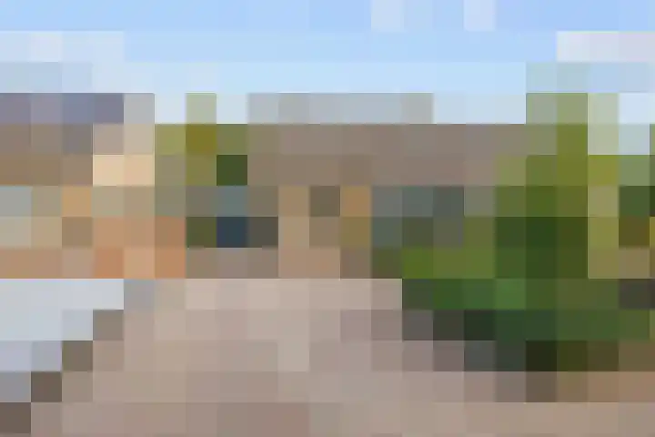 Schapendijkje 14 Franeker thumbnail 10