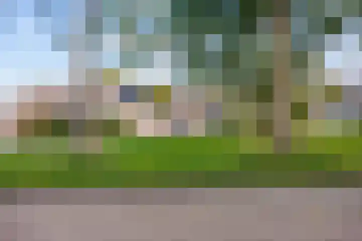 Schapendijkje 14 Franeker thumbnail 11