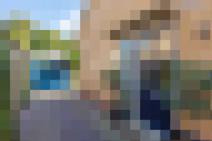 Schapendijkje 14 Franeker thumbnail 12
