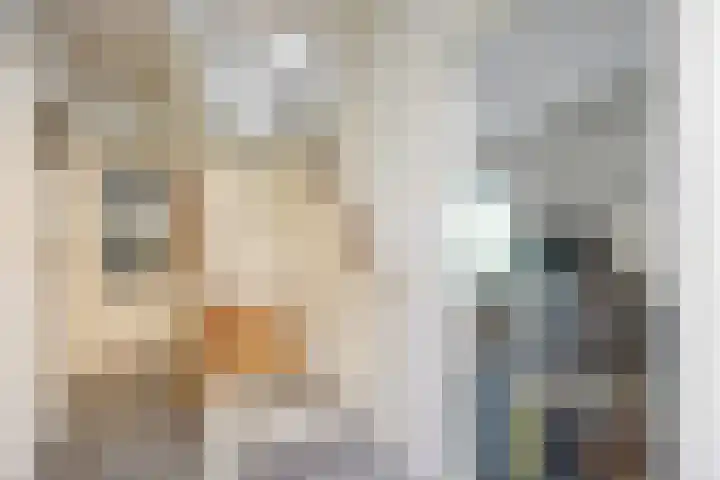 Schapendijkje 14 Franeker thumbnail 13