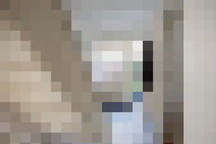Schapendijkje 14 Franeker thumbnail 14