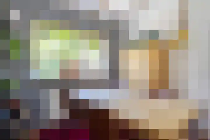 Schapendijkje 14 Franeker thumbnail 16
