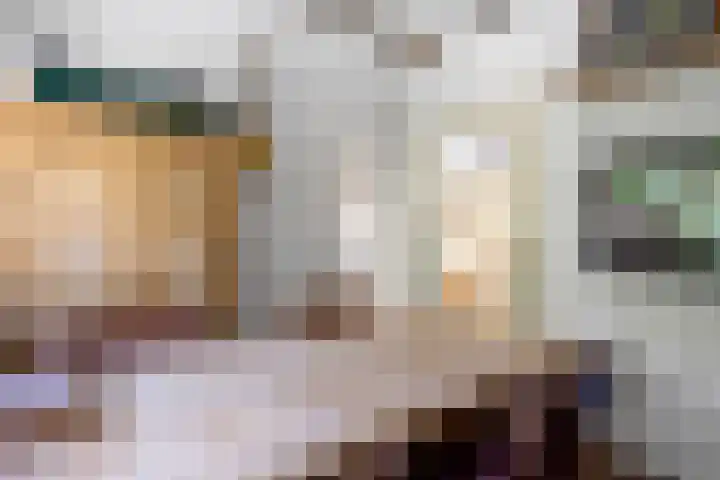 Schapendijkje 14 Franeker thumbnail 17