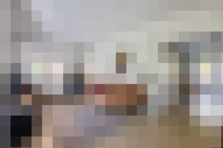 Schapendijkje 14 Franeker thumbnail 19
