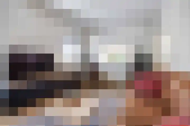 Schapendijkje 14 Franeker thumbnail 21