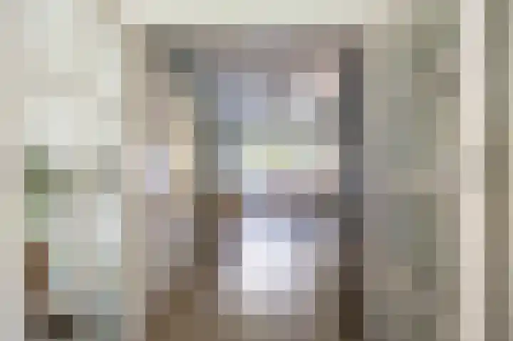 Schapendijkje 14 Franeker thumbnail 25