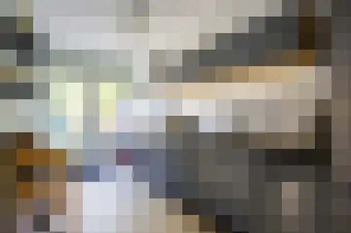 Schapendijkje 14 Franeker thumbnail 26
