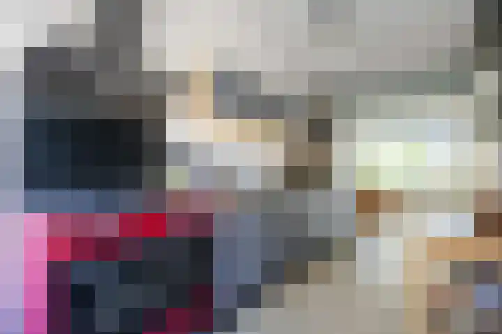 Schapendijkje 14 Franeker thumbnail 29