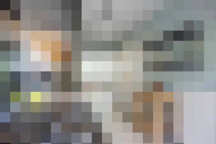 Schapendijkje 14 Franeker thumbnail 30