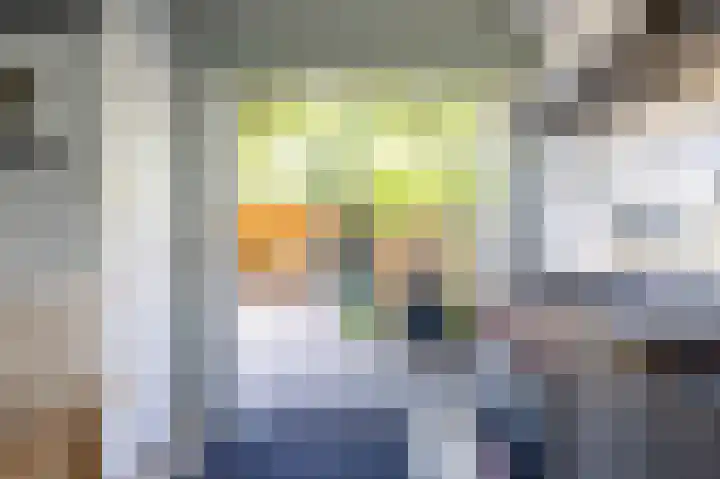 Schapendijkje 14 Franeker thumbnail 31