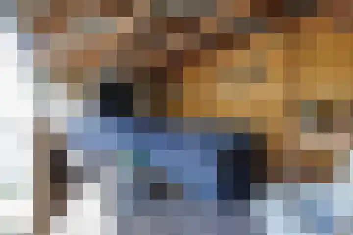 Schapendijkje 14 Franeker thumbnail 35
