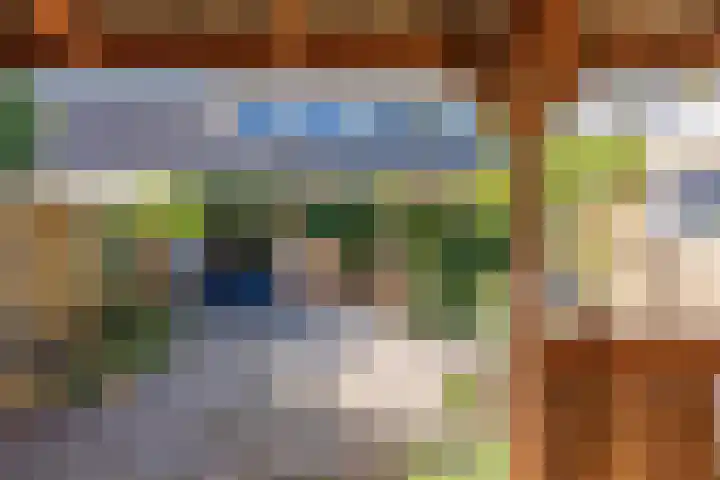 Schapendijkje 14 Franeker thumbnail 36
