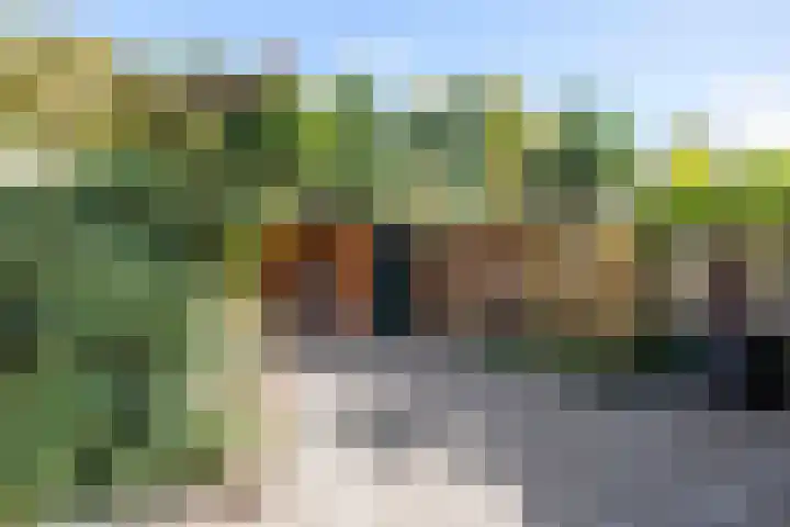 Schapendijkje 14 Franeker thumbnail 37
