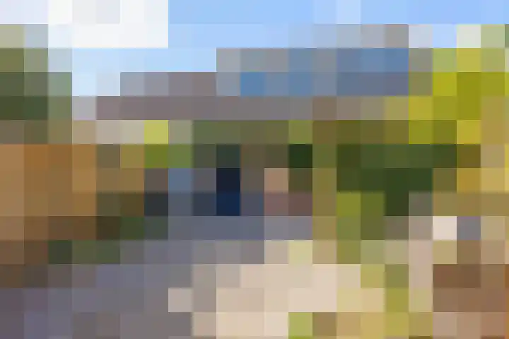 Schapendijkje 14 Franeker thumbnail 39
