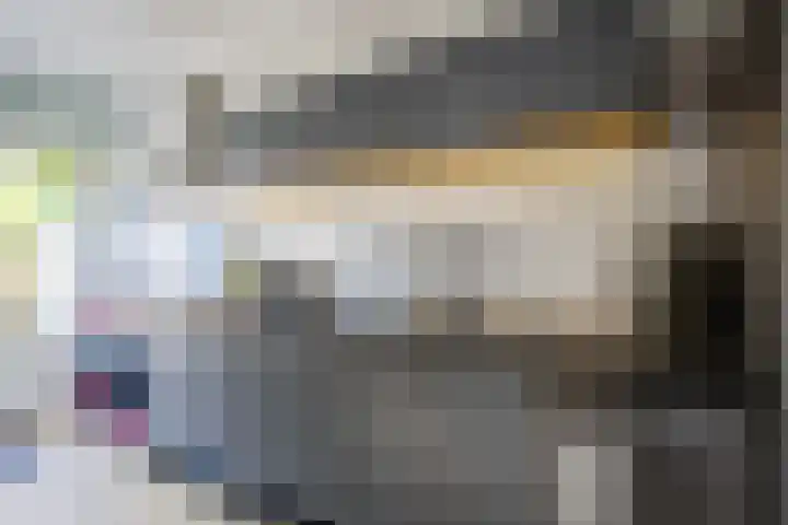 Schapendijkje 14 Franeker thumbnail 4