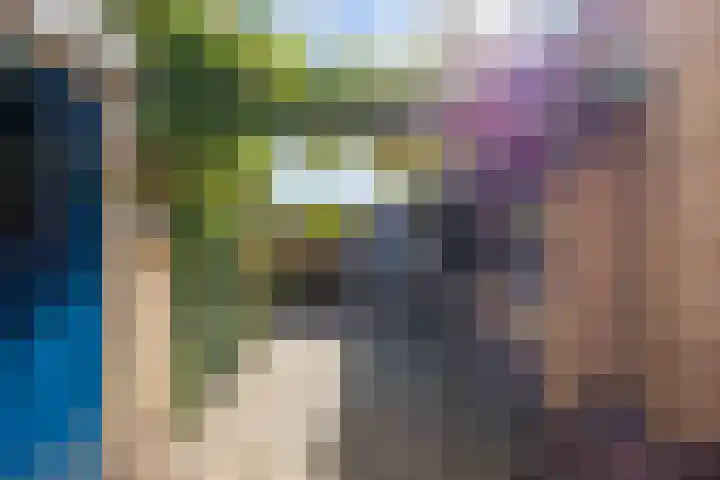 Schapendijkje 14 Franeker thumbnail 40