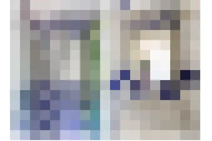 Schapendijkje 14 Franeker thumbnail 42