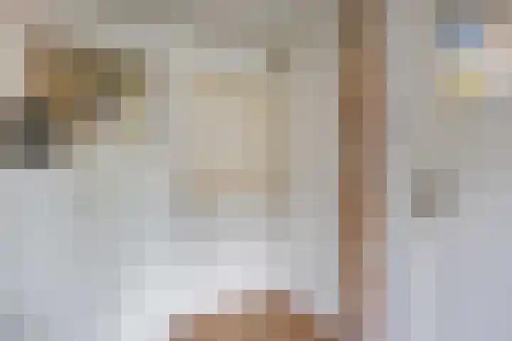 Schapendijkje 14 Franeker thumbnail 46