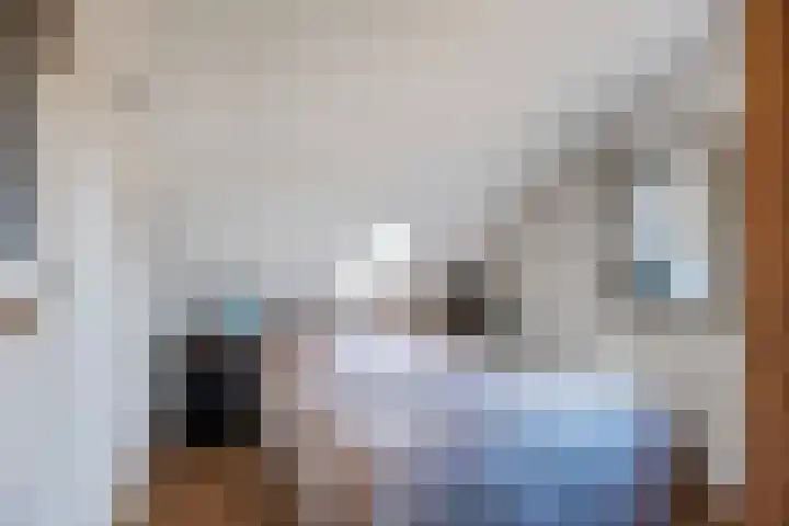 Schapendijkje 14 Franeker thumbnail 49