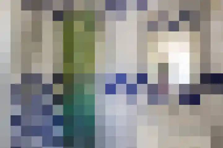 Schapendijkje 14 Franeker thumbnail 5