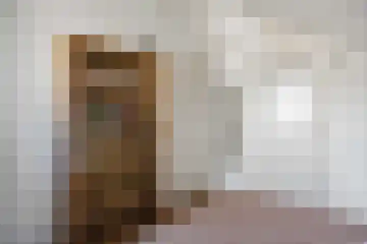 Schapendijkje 14 Franeker thumbnail 51