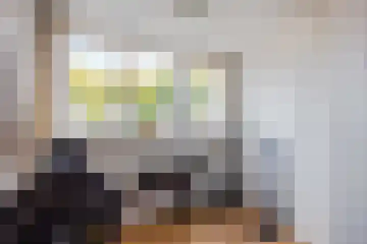 Schapendijkje 14 Franeker thumbnail 52