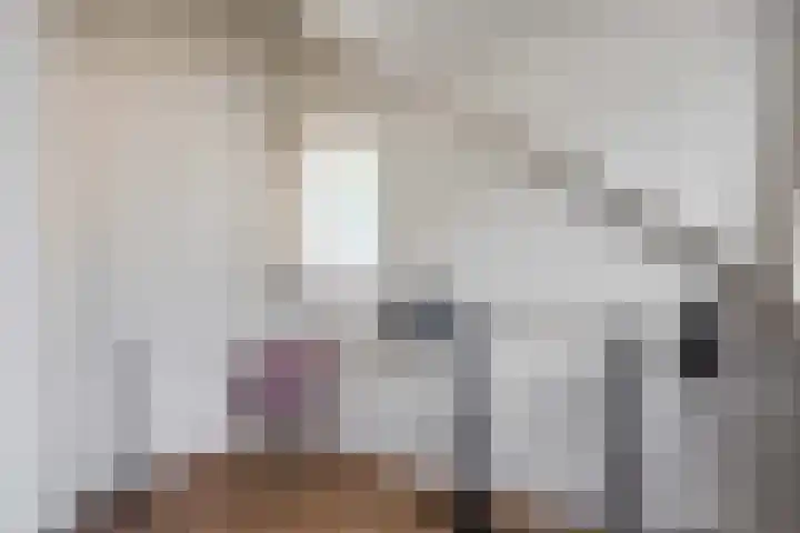 Schapendijkje 14 Franeker thumbnail 53