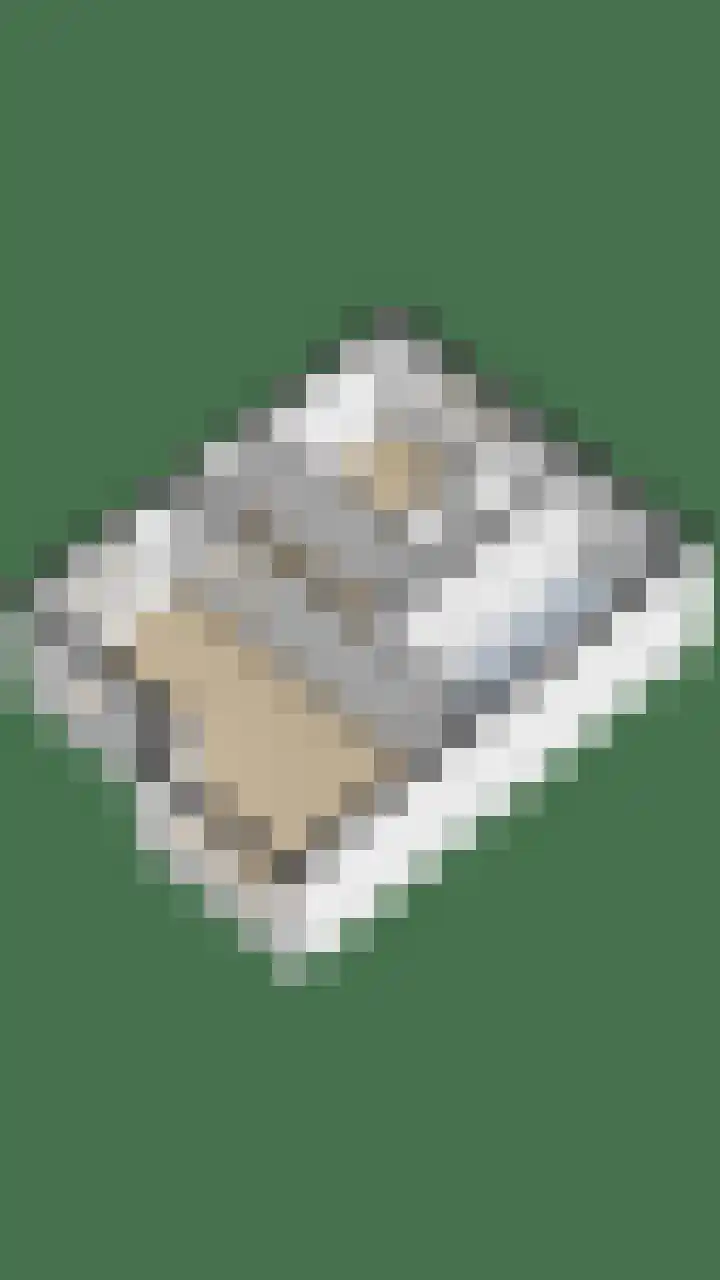 Schapendijkje 14 Franeker thumbnail 57