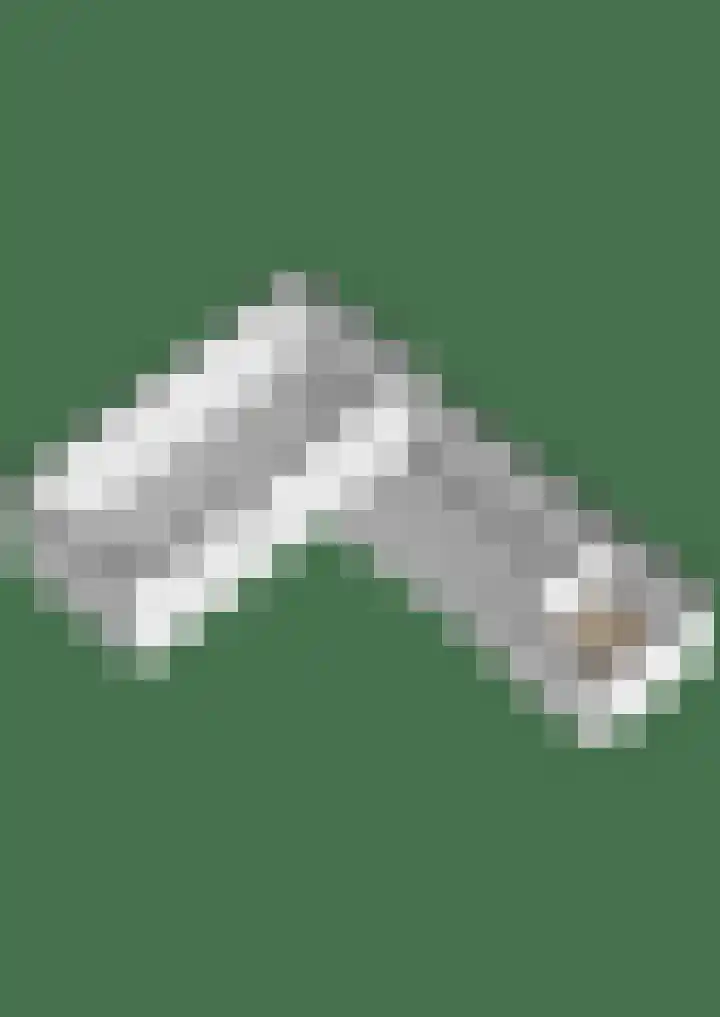 Schapendijkje 14 Franeker thumbnail 61