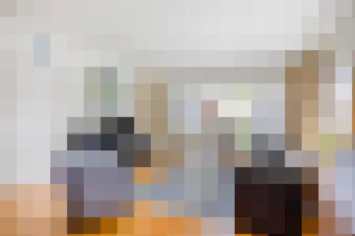 Schapendijkje 3 Franeker thumbnail 12