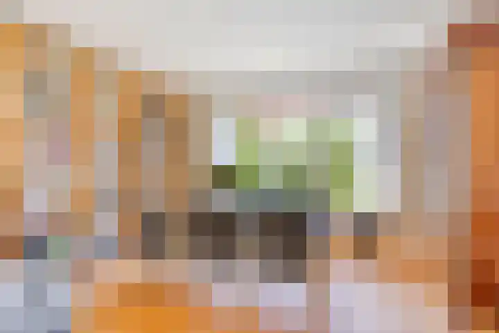 Schapendijkje 3 Franeker thumbnail 13