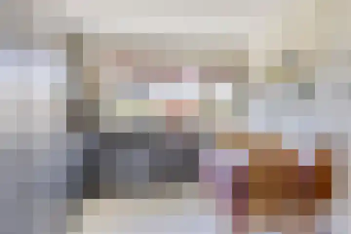 Schapendijkje 3 Franeker thumbnail 15